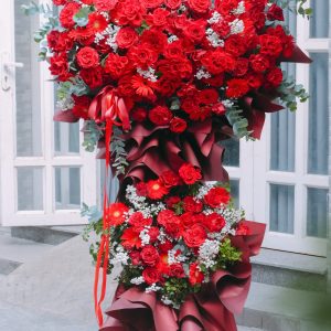 Kệ hoa Đồng tiền đỏ hồng đỏ