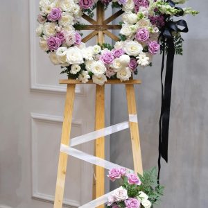 Kệ hoa Đồng tiền nhí trắng hồng tím