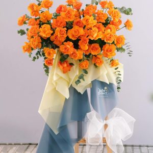 Kệ hoa Hồng cam rực rỡ