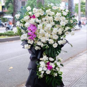 Kệ hoa Cúc mẫu đơn trắng